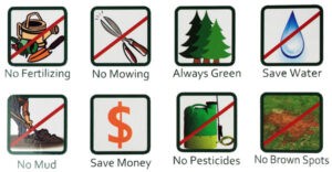 Benefici dell'erba artificiale - L'erba artificiale è ecologica