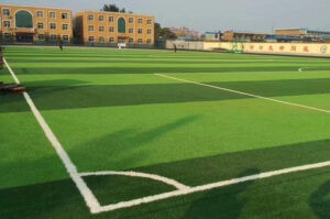 ملاعب كرة القدم، المدارس، الكليات