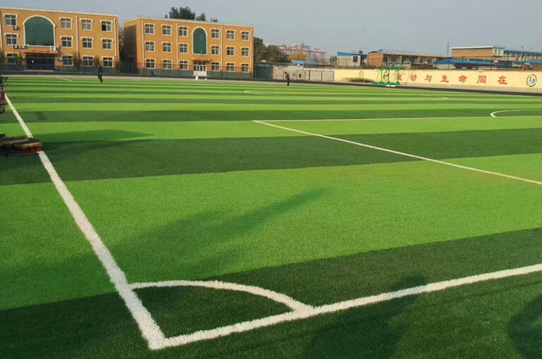 สนามหญ้าเทียมฟุตบอล,โรงเรียน,วิทยาลัย