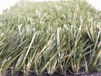 Alternatieve kijk op Football Grass-Diamond