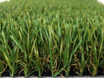Góc nhìn khác về EcoWay