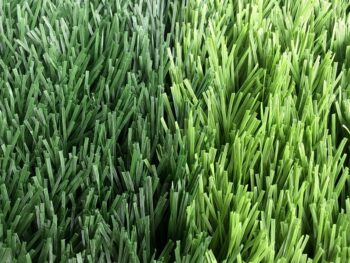 Alternatieve kijk op Football Grass-MW
