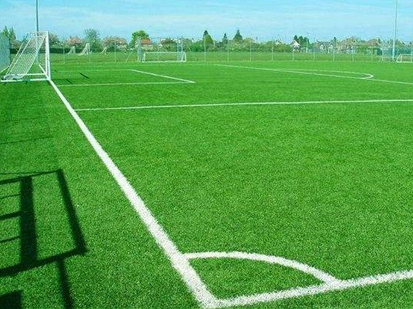 ฟุตบอลหญ้า